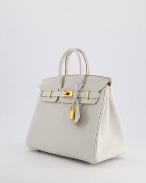 *RARE* Hermès Birkin Retourne 25cm Bag in Gris Pale Togo Leather with Gold Hardware