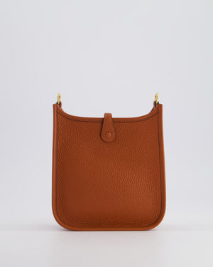 *HOT COLOUR* Hermès Mini Evelyne Bag in Cuivre Clemence Leather with Gold Hardware