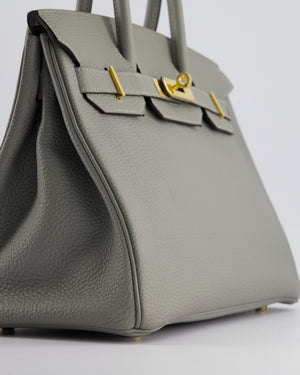 Hermès Birkin 30cm Retourne Bag in Gris Mourette Togo Leather With Gold Hardware