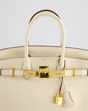 Hermès Birkin Retourne Bag 30cm in Nata Clemence Leather with Gold Hardware