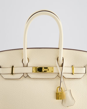 Hermès Birkin Retourne Bag 30cm in Nata Clemence Leather with Gold Hardware