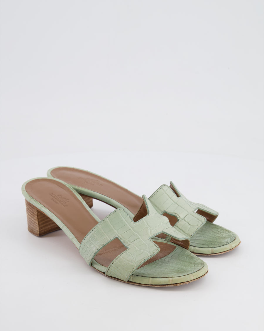 *FIRE PRICE* Hermès Oasis Sandals in Vert d'Eau Alligator Leather Size EU 37.5 RRP £3,250