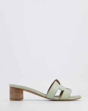 *FIRE PRICE* Hermès Oasis Sandals in Vert d'Eau Alligator Leather Size EU 37.5 RRP £3,250