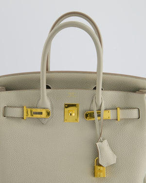 Hermès Birkin 30cm Bag in Beton Togo Leather with Palladium Hardware