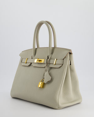 Hermès Birkin 30cm Bag in Beton Togo Leather with Palladium Hardware