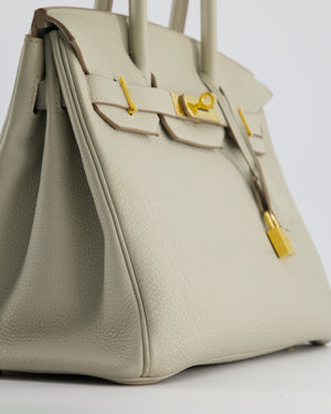 Hermès Birkin 30cm Bag in Beton Togo Leather with Gold Hardware