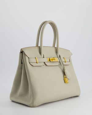 Hermès Birkin 30cm Bag in Beton Togo Leather with Palladium Hardware