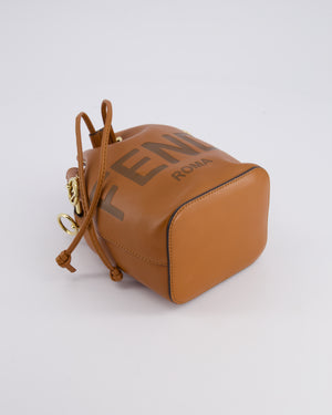 Fendi Brown Mon Tresor Bucket Bag In Brown Smooth Calfskin Leather with Gold Hardware RRP £1,420