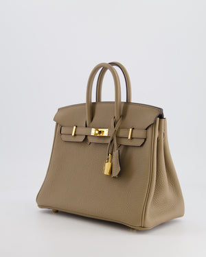 Hermès Birkin 25cm Retourne in Beige Marfa Togo Leather with Gold Hardware