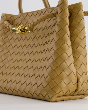 Bottega Veneta Medium Andiamo Bag in Beige Praline Intrecciato Leather with Gold Hardware RRP £4,030