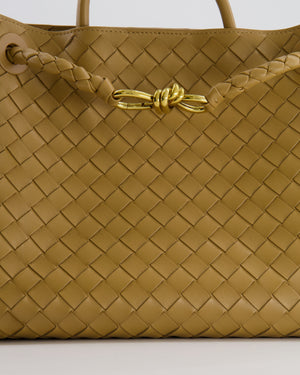 Bottega Veneta Medium Andiamo Bag in Beige Praline Intrecciato Leather with Gold Hardware RRP £4,030