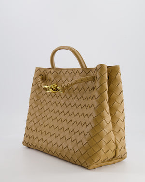 Bottega Veneta Medium Andiamo Bag in Beige Praline Intrecciato Leather with Gold Hardware RRP £4,030