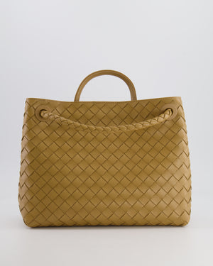 Bottega Veneta Medium Andiamo Bag in Beige Praline Intrecciato Leather with Gold Hardware RRP £4,030