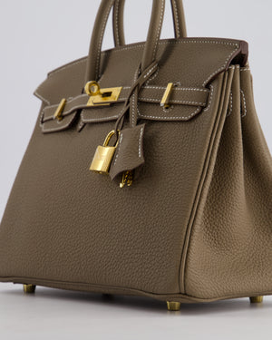 Hermès Birkin Retourne 25cm Bag in Etoupe Togo Leather with Gold Hardware