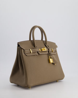 Hermès Birkin Retourne 25cm Bag in Etoupe Togo Leather with Gold Hardware