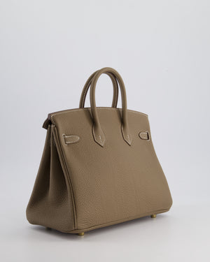 Hermès Birkin Retourne 25cm Bag in Etoupe Togo Leather with Gold Hardware