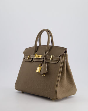 Hermès Birkin Retourne 25cm Bag in Etoupe Togo Leather with Gold Hardware