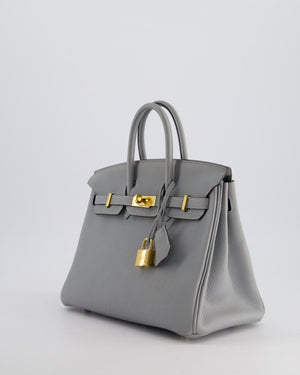 Hermès Birkin Retourne 25cm Bag in Bleu Glacier Togo Leather with Gold Hardware