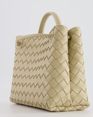 Bottega Veneta Small Andiamo Bag in Light Butterscotch Intrecciato Leather with Gold Hardware RRP £3,410