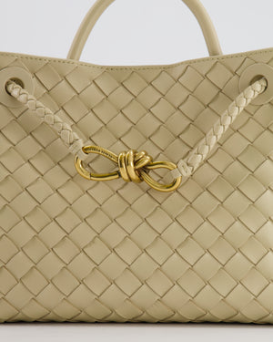 Bottega Veneta Small Andiamo Bag in Light Butterscotch Intrecciato Leather with Gold Hardware RRP £3,410