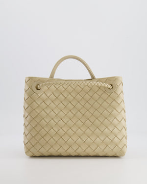 Bottega Veneta Small Andiamo Bag in Light Butterscotch Intrecciato Leather with Gold Hardware RRP £3,410