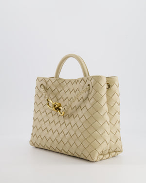 Bottega Veneta Small Andiamo Bag in Light Butterscotch Intrecciato Leather with Gold Hardware RRP £3,410