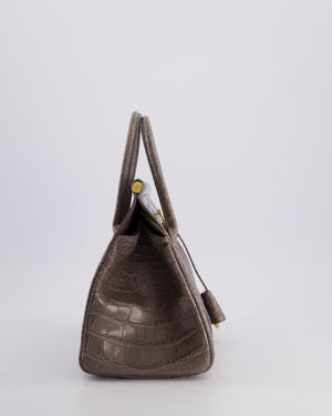 *HOT* Loro Piana Puddle Grey Loom 25 Bag in Alligator Leather with Gold Hardware RRP £25,500