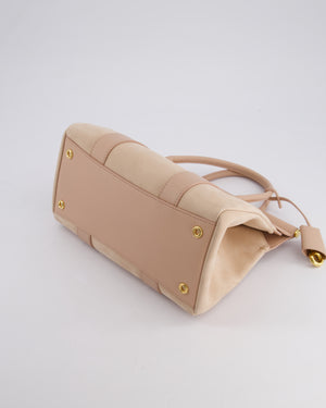 Loro Piana Pink Loom 25 Bag in Suede and Calfskin Leather with Gold Hardware RRP £3,410